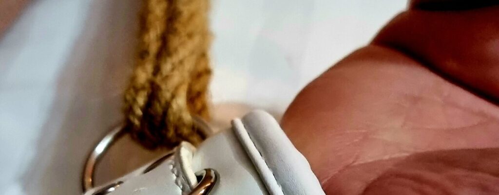 Wrist cuffs for security